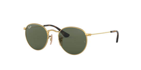 Ray-Ban Junior Round RJ9547S 223/71