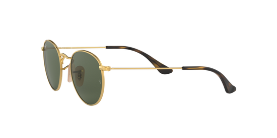 Ray-Ban Junior Round RJ9547S 223/71