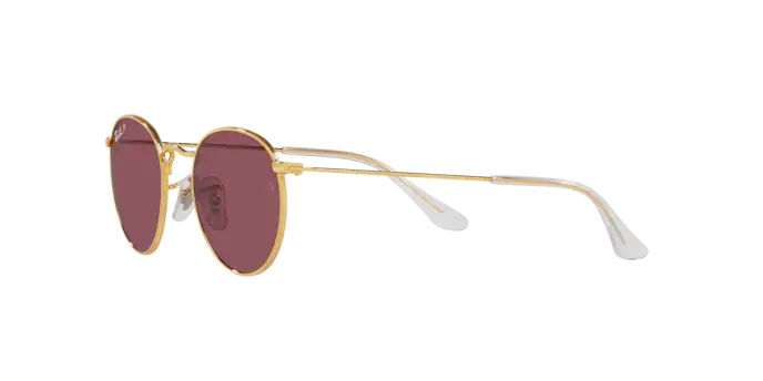 Ray-Ban Junior Round RJ9547S 286/5Q