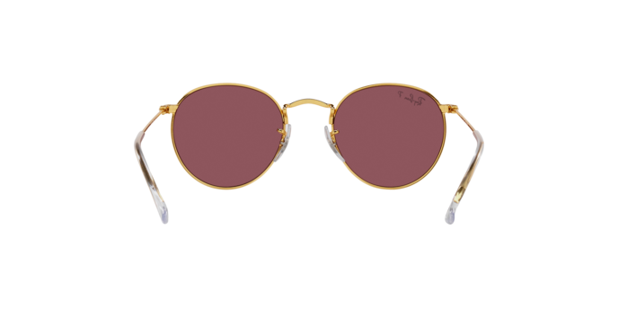 Ray-Ban Junior Round RJ9547S 286/5Q
