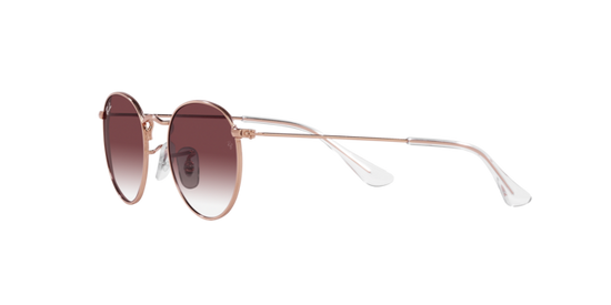 Ray-Ban Junior Round RJ9547S 291/8H