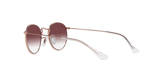 Ray-Ban Junior Round RJ9547S 291/8H