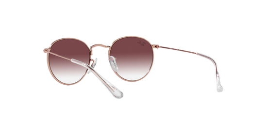 Ray-Ban Junior Round RJ9547S 291/8H