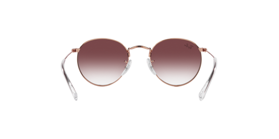 Ray-Ban Junior Round RJ9547S 291/8H