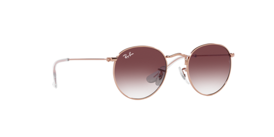 Ray-Ban Junior Round RJ9547S 291/8H