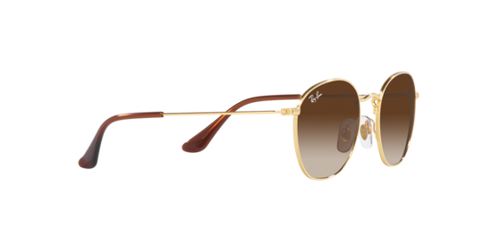 Ray-Ban Junior Rob RJ9572S 223/13