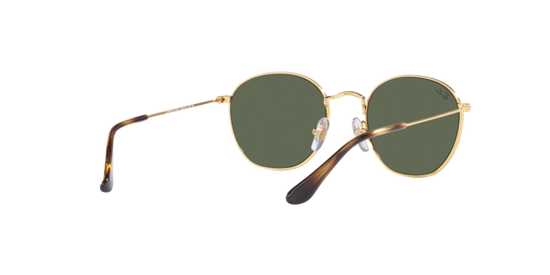 Ray-Ban Junior Rob RJ9572S 223/71