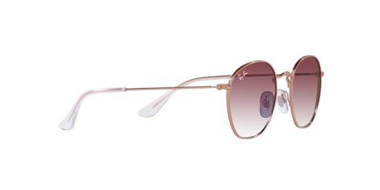 Ray-Ban Junior Rob RJ9572S 291/8H