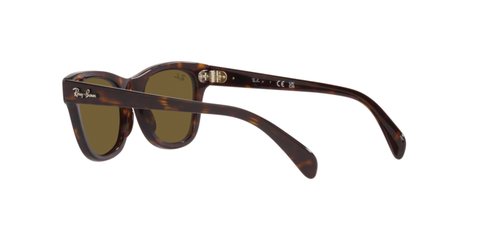 Ray-Ban RJ9707S 710273