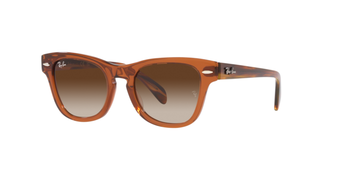 Ray-Ban RJ9707S 712713