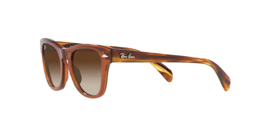 Ray-Ban RJ9707S 712713