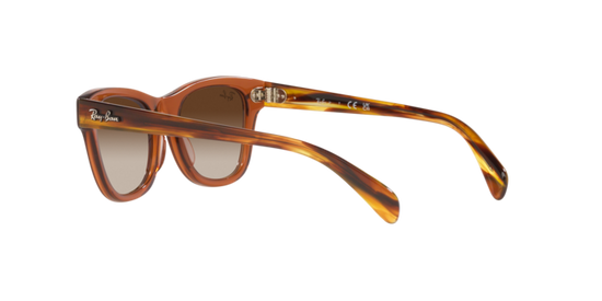 Ray-Ban RJ9707S 712713