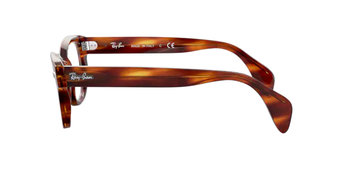 Ray-Ban Eyeglasses RX0880 2144