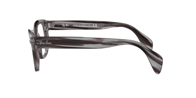 Ray-Ban Eyeglasses RX0880 8055