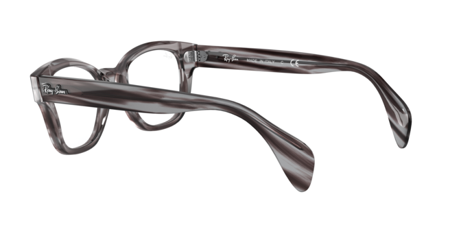 Ray-Ban Eyeglasses RX0880 8055