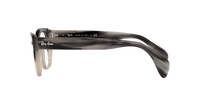 Ray-Ban Eyeglasses RX0880 8106