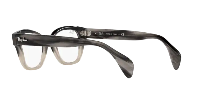 Ray-Ban Eyeglasses RX0880 8106