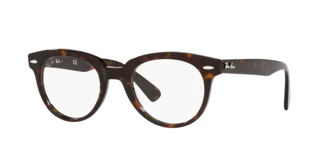 Ray-Ban Eyeglasses RX2199V 2012