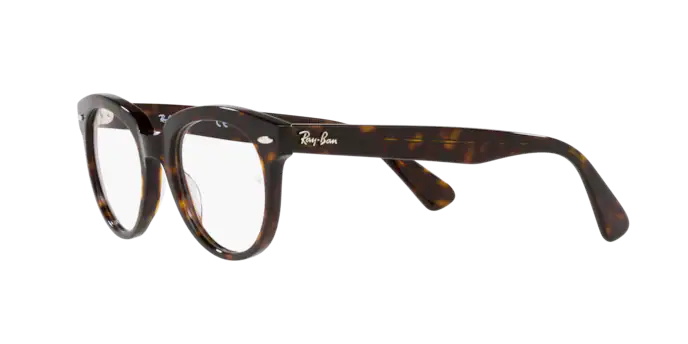 Ray-Ban Eyeglasses RX2199V 2012