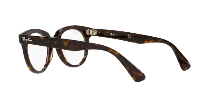 Ray-Ban Eyeglasses RX2199V 2012