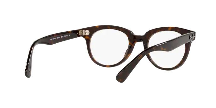 Ray-Ban Eyeglasses RX2199V 2012