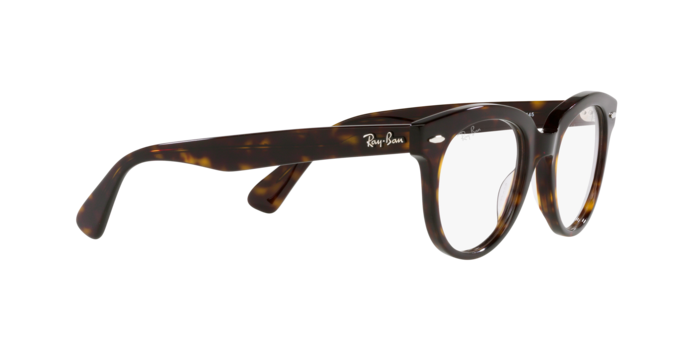 Ray-Ban Eyeglasses RX2199V 2012