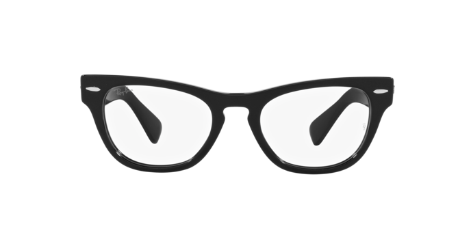 Ray-Ban Laramie Eyeglasses RX2201V 2000