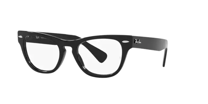 Ray-Ban Laramie Eyeglasses RX2201V 2000