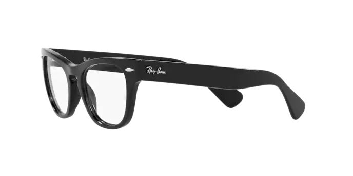 Ray-Ban Laramie Eyeglasses RX2201V 2000