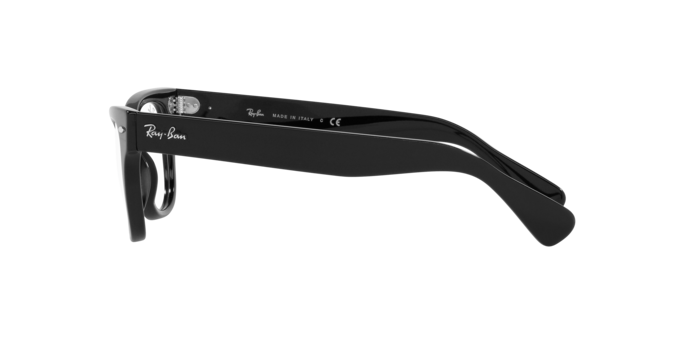 Ray-Ban Laramie Eyeglasses RX2201V 2000