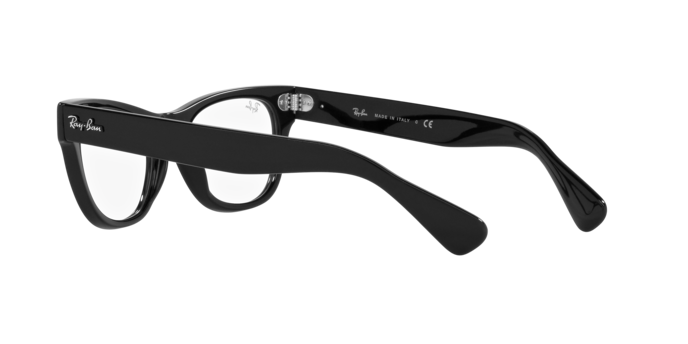 Ray-Ban Laramie Eyeglasses RX2201V 2000