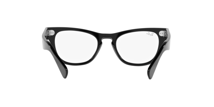 Ray-Ban Laramie Eyeglasses RX2201V 2000