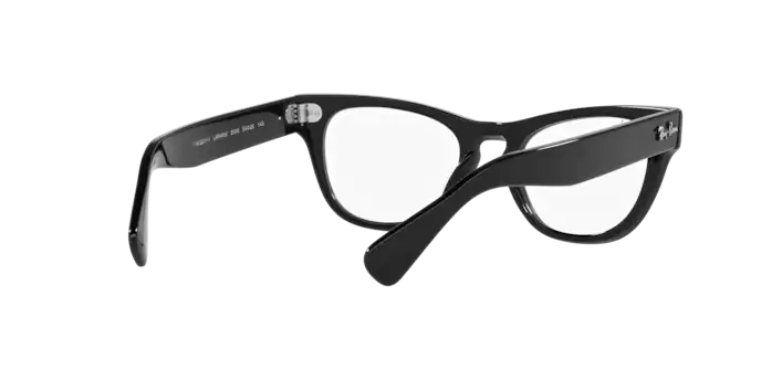 Ray-Ban Laramie Eyeglasses RX2201V 2000