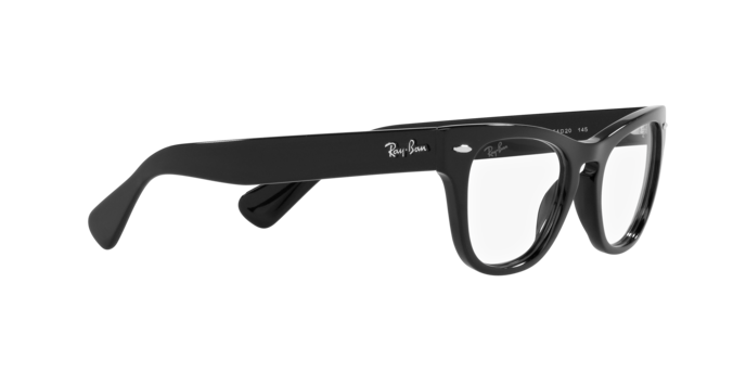 Ray-Ban Laramie Eyeglasses RX2201V 2000