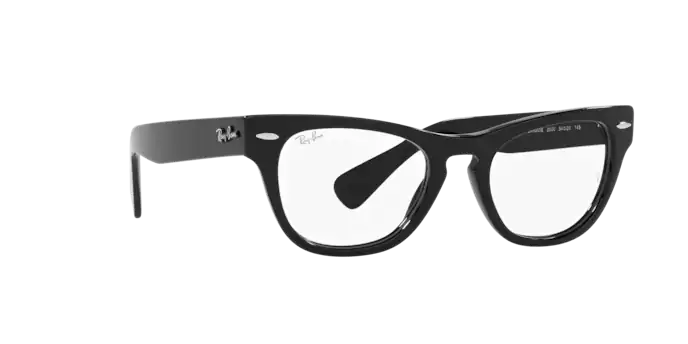 Ray-Ban Laramie Eyeglasses RX2201V 2000