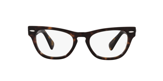 Ray-Ban Laramie Eyeglasses RX2201V 2012
