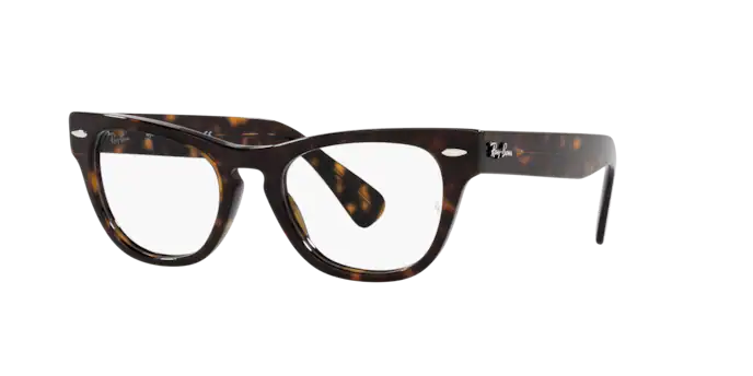 Ray-Ban Laramie Eyeglasses RX2201V 2012
