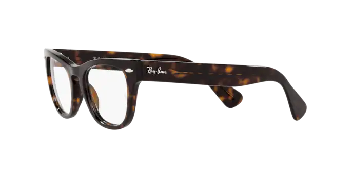 Ray-Ban Laramie Eyeglasses RX2201V 2012