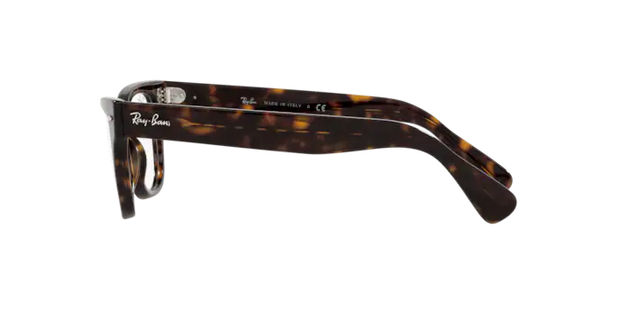 Ray-Ban Laramie Eyeglasses RX2201V 2012