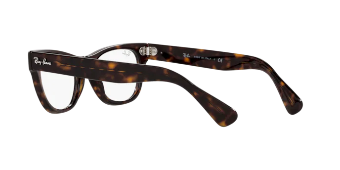 Ray-Ban Laramie Eyeglasses RX2201V 2012