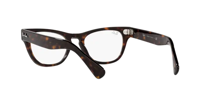 Ray-Ban Laramie Eyeglasses RX2201V 2012