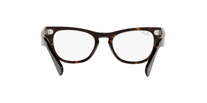 Ray-Ban Laramie Eyeglasses RX2201V 2012