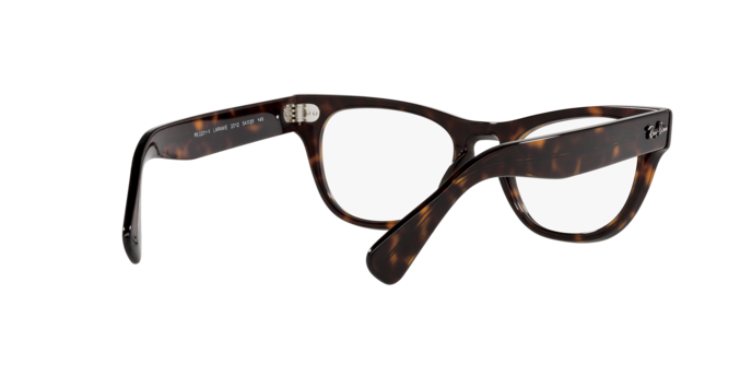 Ray-Ban Laramie Eyeglasses RX2201V 2012