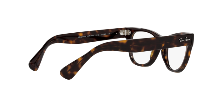 Ray-Ban Laramie Eyeglasses RX2201V 2012