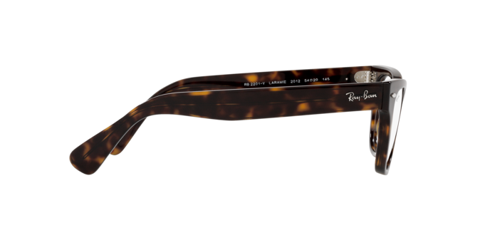 Ray-Ban Laramie Eyeglasses RX2201V 2012
