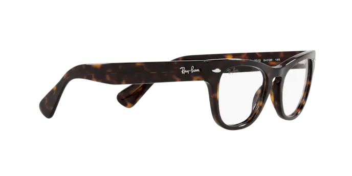 Ray-Ban Laramie Eyeglasses RX2201V 2012