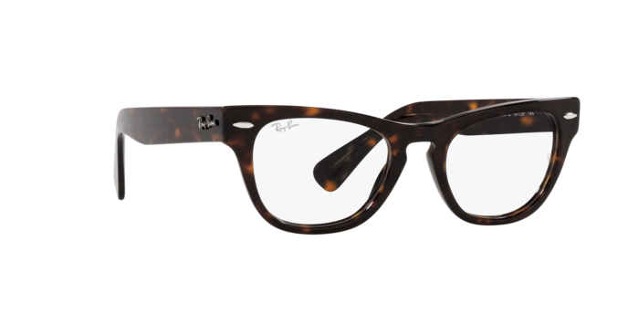 Ray-Ban Laramie Eyeglasses RX2201V 2012