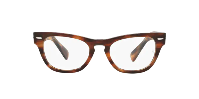 Ray-Ban Laramie Eyeglasses RX2201V 2144