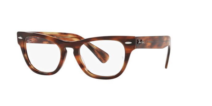 Ray-Ban Laramie Eyeglasses RX2201V 2144