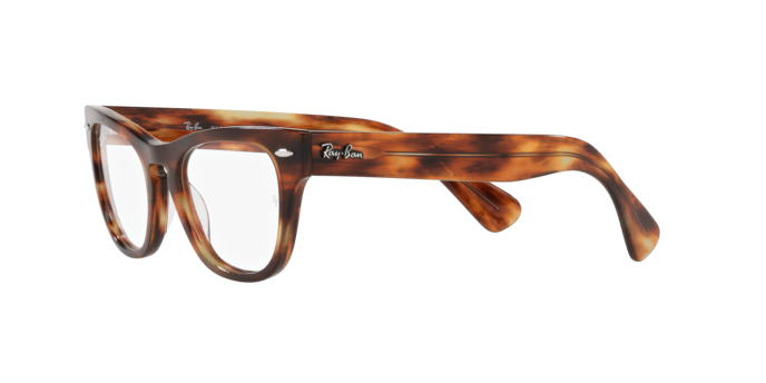 Ray-Ban Laramie Eyeglasses RX2201V 2144